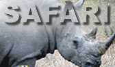 Safaris